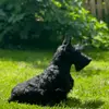 Scottish Terrier Little Jumpers  profile
