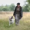 Labradore vom Hauendamm profile