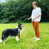 Blue Meadow Collies profile
