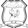 Weimaraner vom Mindelschloss profile