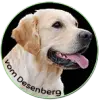 Labradoodle vom Desenberg  profile