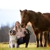 Australian-Shepherds-von Kleintischardt profile