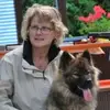 Eurasier von der Ravensburg profile