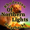 Of Northern Lights profile