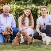 Dogs of Ems Island profile