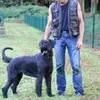 Riesenschnauzer vom Eulatal profile
