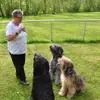 Wäller von der Löwenstadt profile