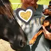 Lowermillzwergpinscher  profile