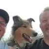 Collies Of True Fellow profile