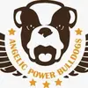 Angelic Power Bulldogs und vom Yangbajain-Tal profile