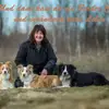  Border Collies Charming-Souls-on-Paws profile