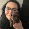 Shih Tzu vom Sturks Hof  profile