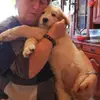 Wigdalir Kuvasz Zucht nur mit Ungarischen Linien profile