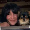 Chihuahuas von der Wölfchenschlucht profile