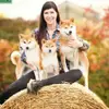 HANABI‘S Shibas  profile