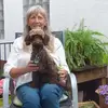Pudelzucht von der Jade profile