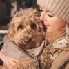 Heart & Soul Doodles Australian Labradoodles profile