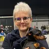 Zwergpinscher vom Zwergbach profile