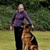 Schäferhundzucht Aus Bolivien profile