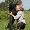 Aldagessem's Labradors profile