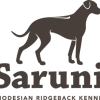 Saruni profile