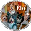 Elo® von Werths Echte  profile
