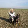 Deutsche Schäferhund Zucht vom Steinernen Rabe profile