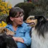 Collies of Yellow River  profile