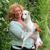 Whippets of Poet‘s Corner  profile