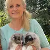 Shelties von Little Insa  profile