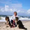 Collies von der Sandsteinvilla profile