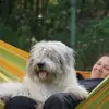 von den Keksdieben profile