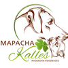 Mapacha Kalles Rhodesian Ridgeback  profile