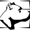 Dogo Argentino Züchter profile