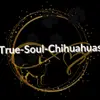 True-Soul-Chihuahuas profile