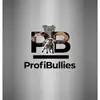 ProfiBullies profile