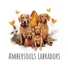 Ambersouls profile