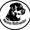 Rottweiler von Akima profile