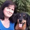 Hovawart von Alaris  profile