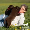 MountainWaters Labrador Retrievers profile