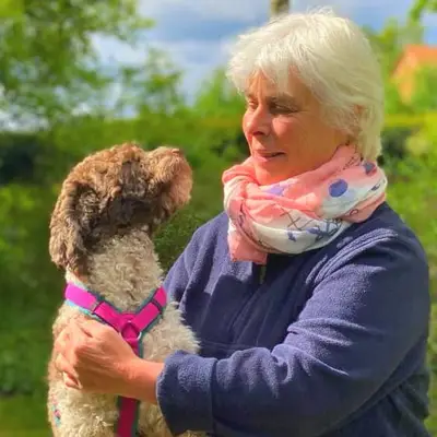 Lagotto Romagnolo vom Tietenhof cover