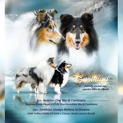 Gwithian cover