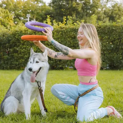 Hund bellt ständig: Ursachen erkennen und trainieren