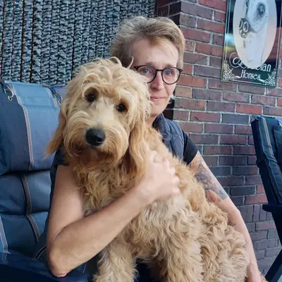 Goldendoodle Gesundheit: Typische Krankheiten & Vorsorge [2026]