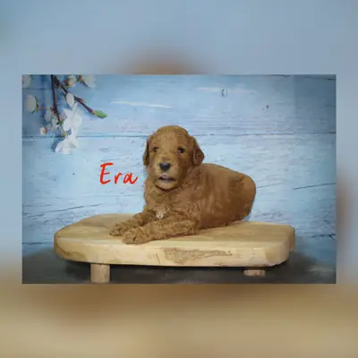 Era