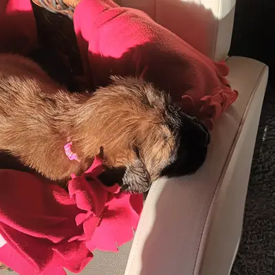Bella