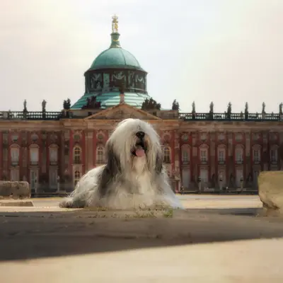 von der Preußengarde, Brandenburg