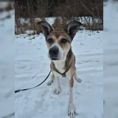 Mia