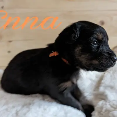 Enna