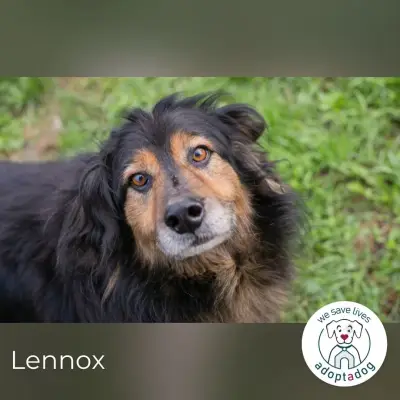 Lennox